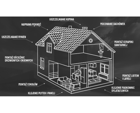 TECHNICQLL Klej montażowy Colos Force 290 ml R-438